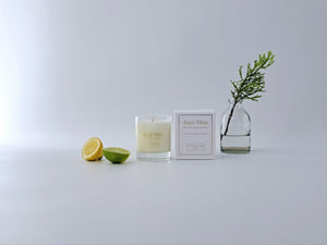 Aqua Vitae Luxury Scented Medium Candle