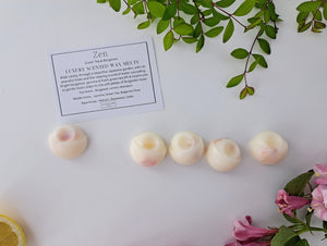 Zen Garden Luxury Scented Wax Melts x5